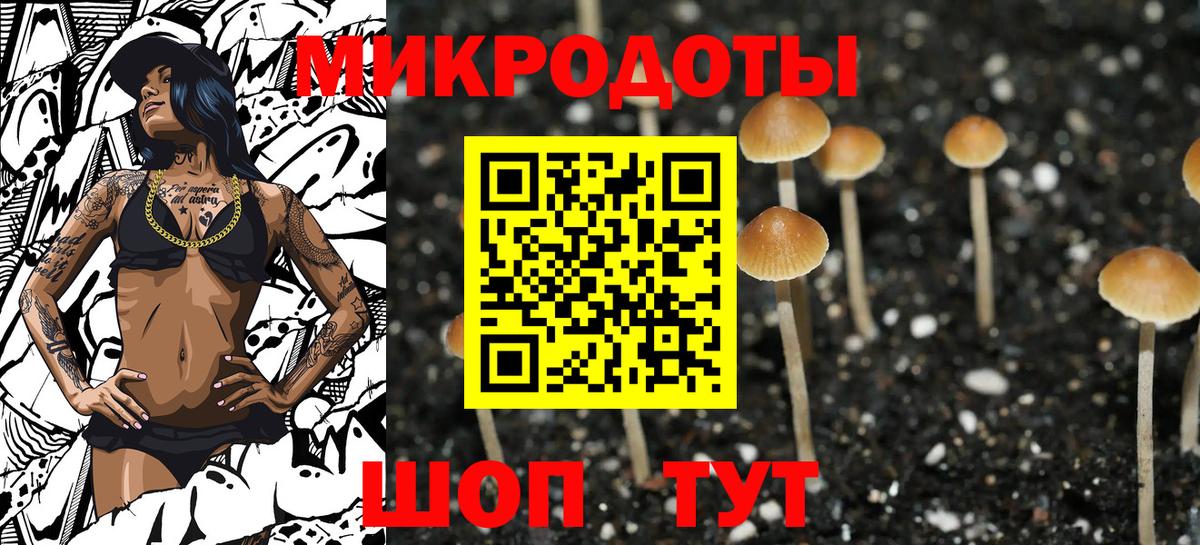 Псилоцибиновые грибы GOLDEN TEACHER Дубна