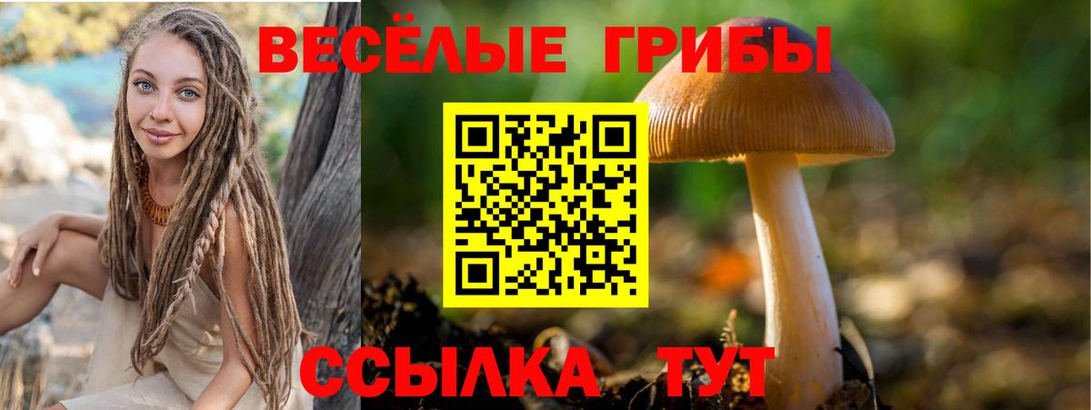 Псилоцибиновые грибы Magic Shrooms  Псилоцибиновые грибы MAGIC MUSHROOMS  Вход с VPN  Дубна 